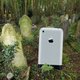 Image: Getty / Apple / Gizmodo